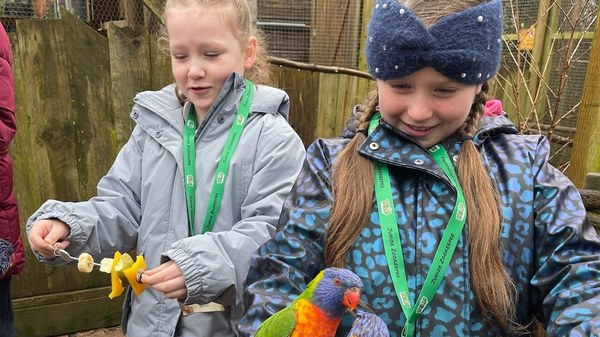 Two children feeding lorikeets at Wild Zoological Park in Wolverhampton
