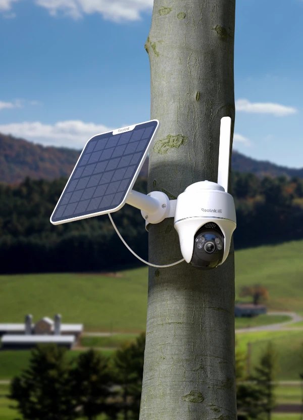 Reolink pan and tilt camera with solar panel fixed to a tree
