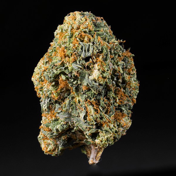 Frosty Melon Runtz THCA flower bud with orange hairs on a black background