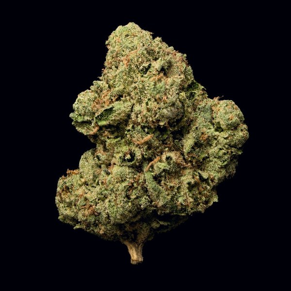 Single Super Runtz THCA flower bud with a short stem on a black background